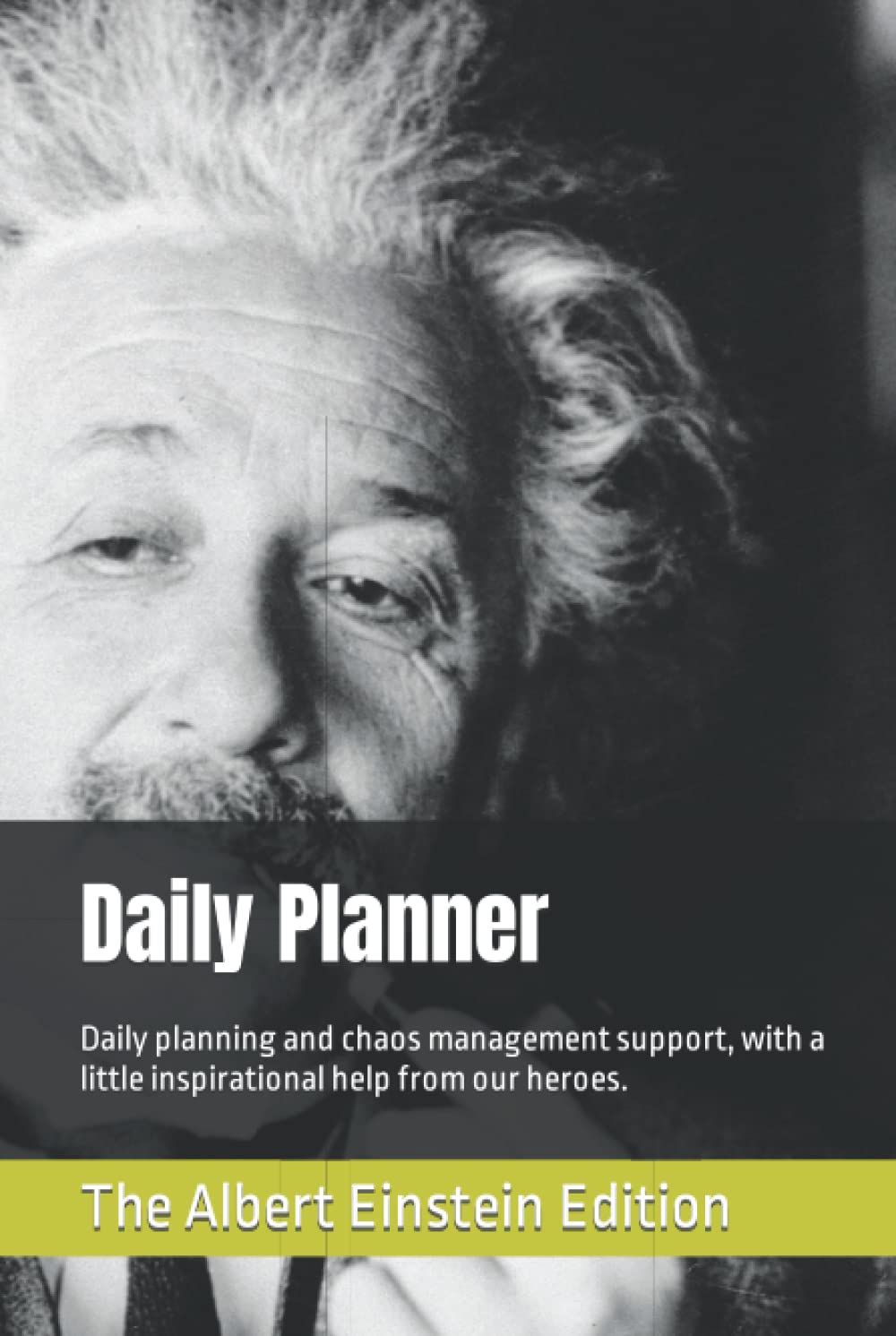 ler totalmente Daily Planner: Daily planning with a little inspirational help from our heroes. The Albert Einstein edition.
