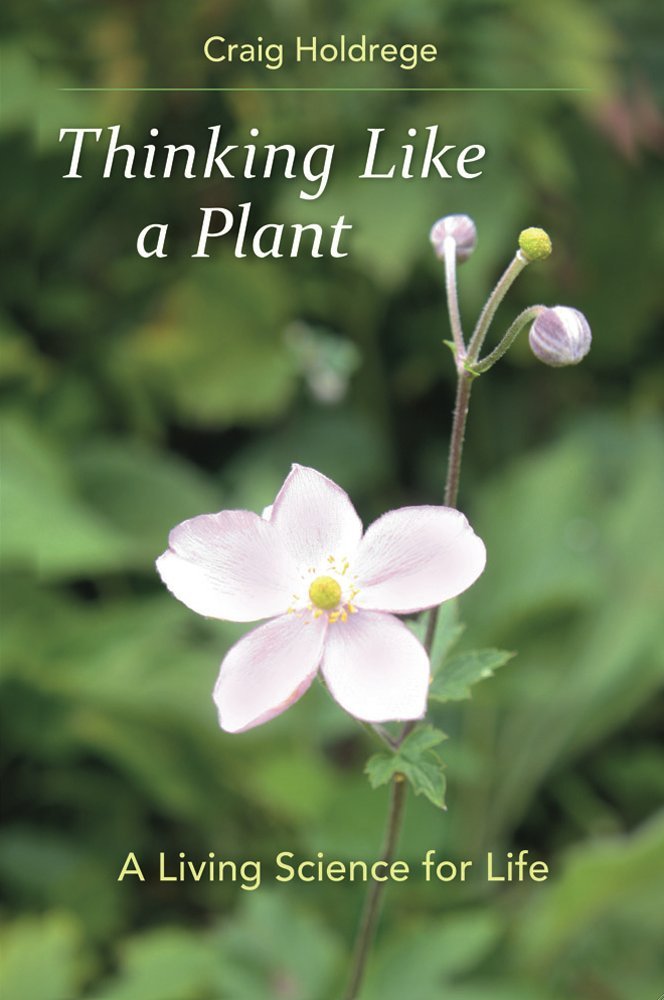 Thinking Like a Plant: A Living Science for Life (English Edition) baixar livro de graça
