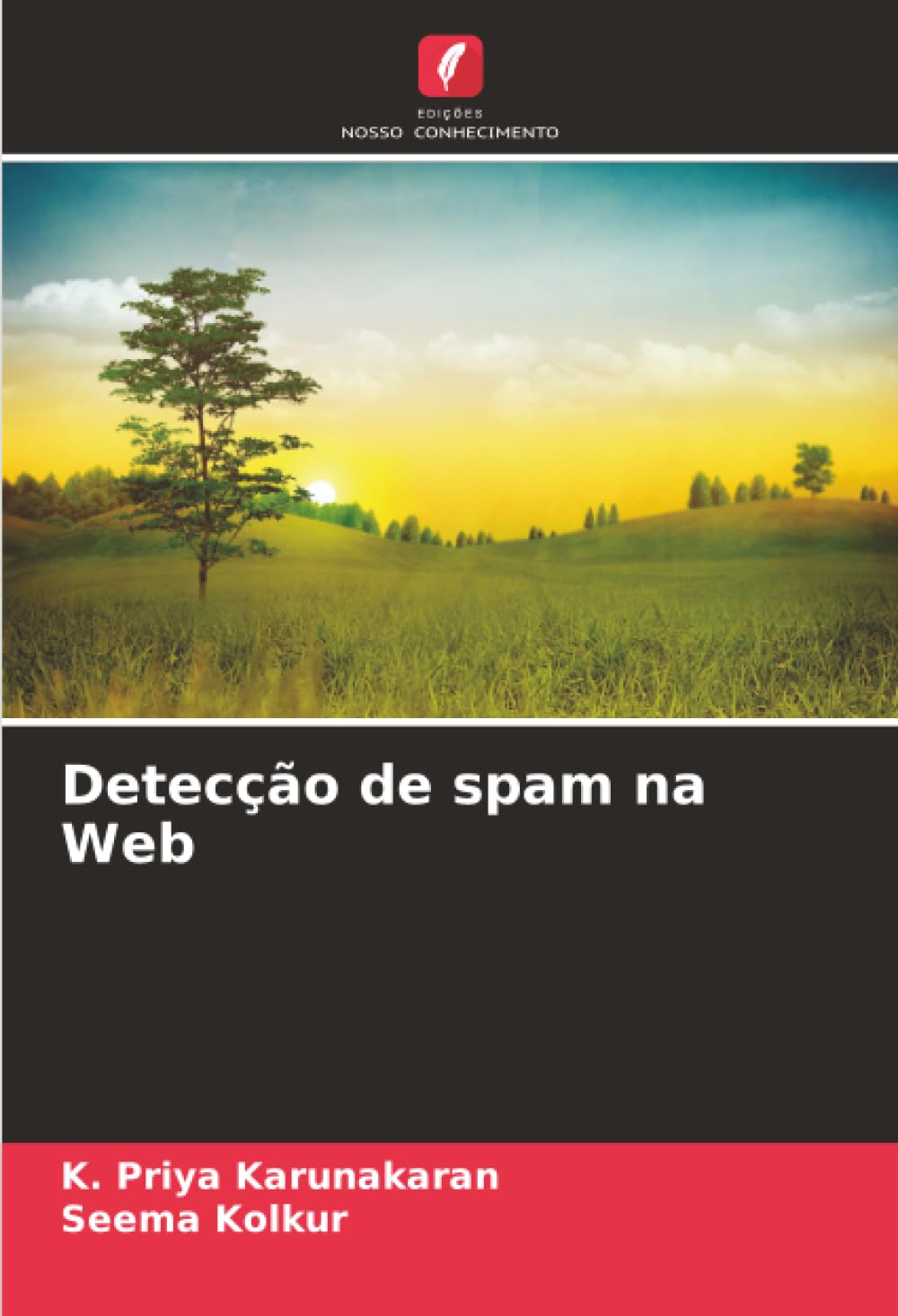 capítulo por capítulo baixar Detecção de spam na Web