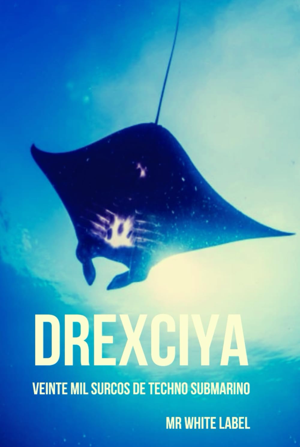 ler totalmente Drexciya: Veinte mil surcos de techno submarino (Iconos del techno) (Spanish Edition)