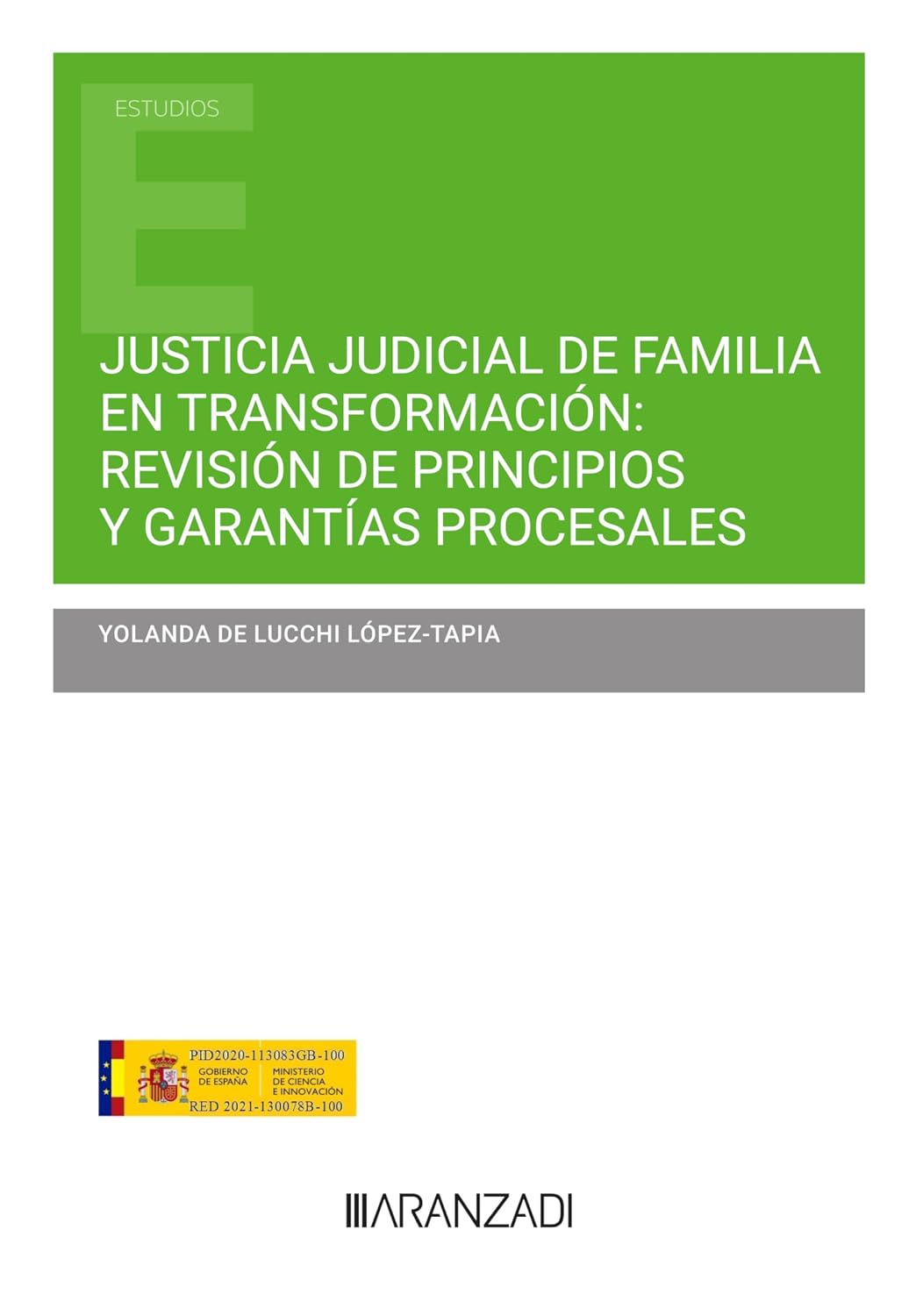 capítulo por capítulo baixar Justicia judicial de familia en transformación: Revisión de principios y garantías procesales (Estudios) (Spanish Edition)