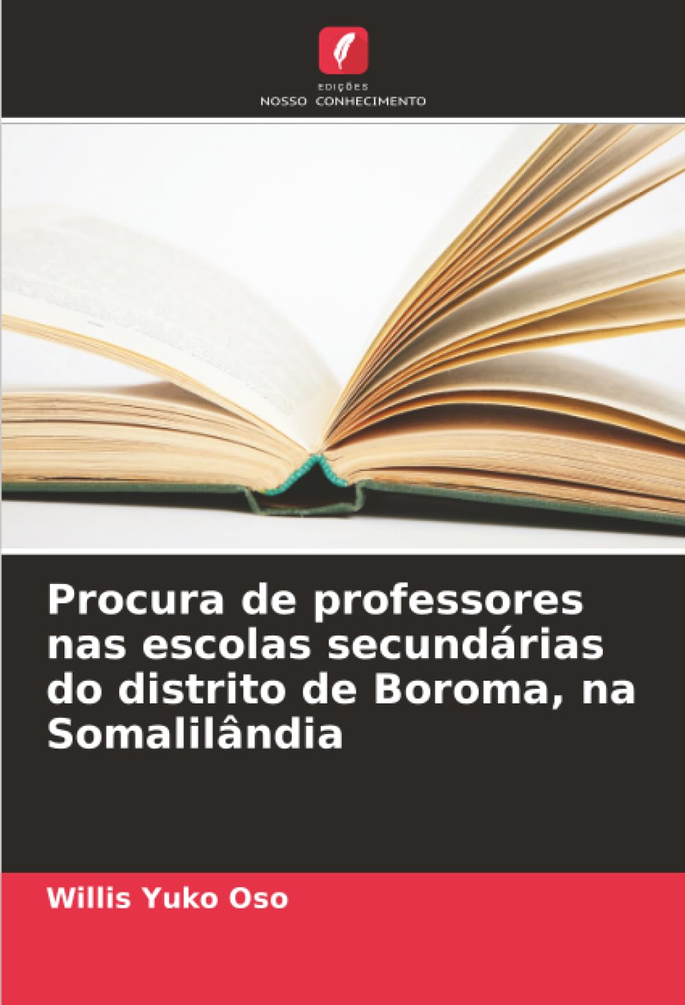 ler totalmente Procura de professores nas escolas secundárias do distrito de Boroma, na Somalilândia