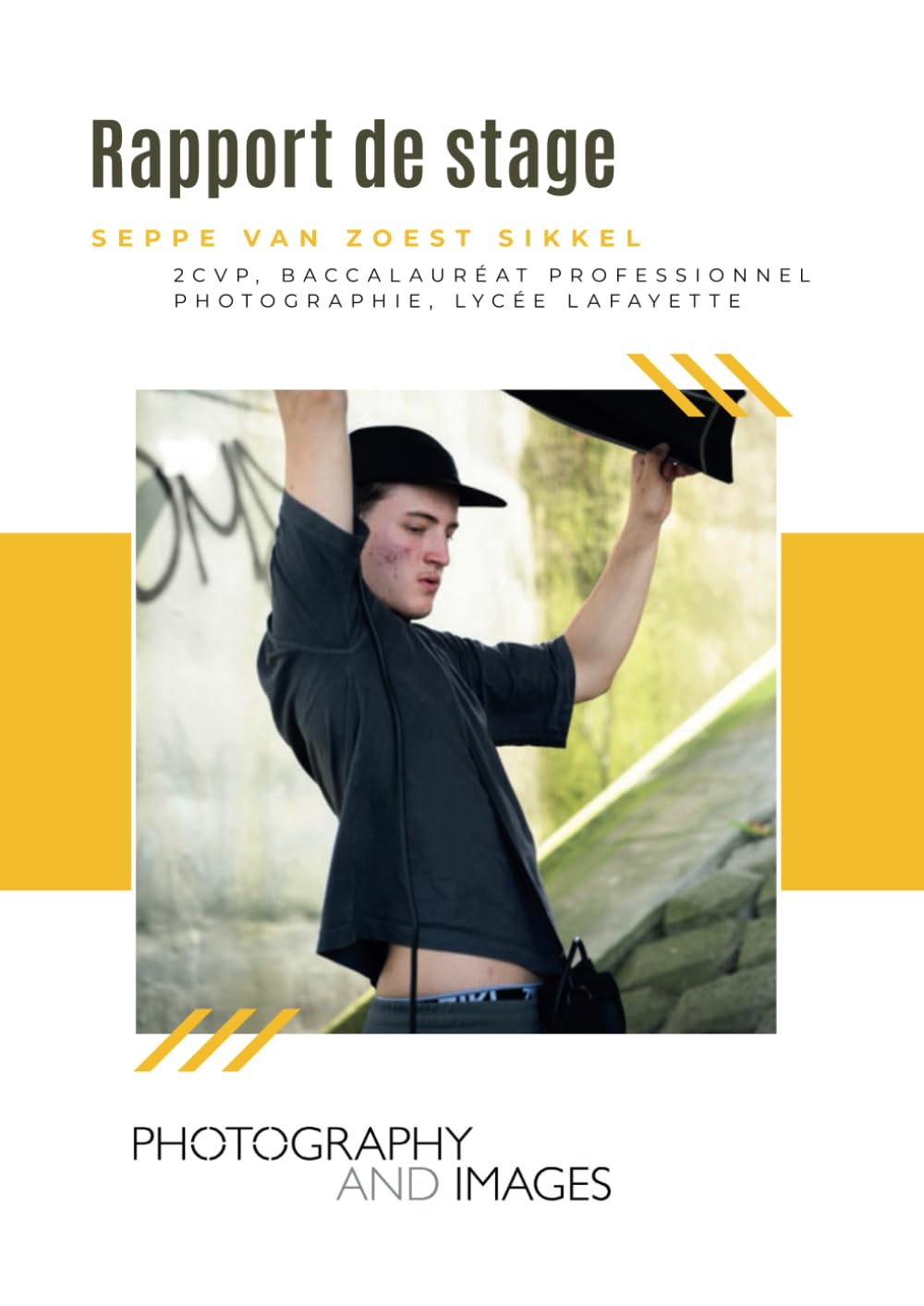 capítulo por capítulo baixar Rapport de stage: Seppe van Zoest Sikkel (French Edition)