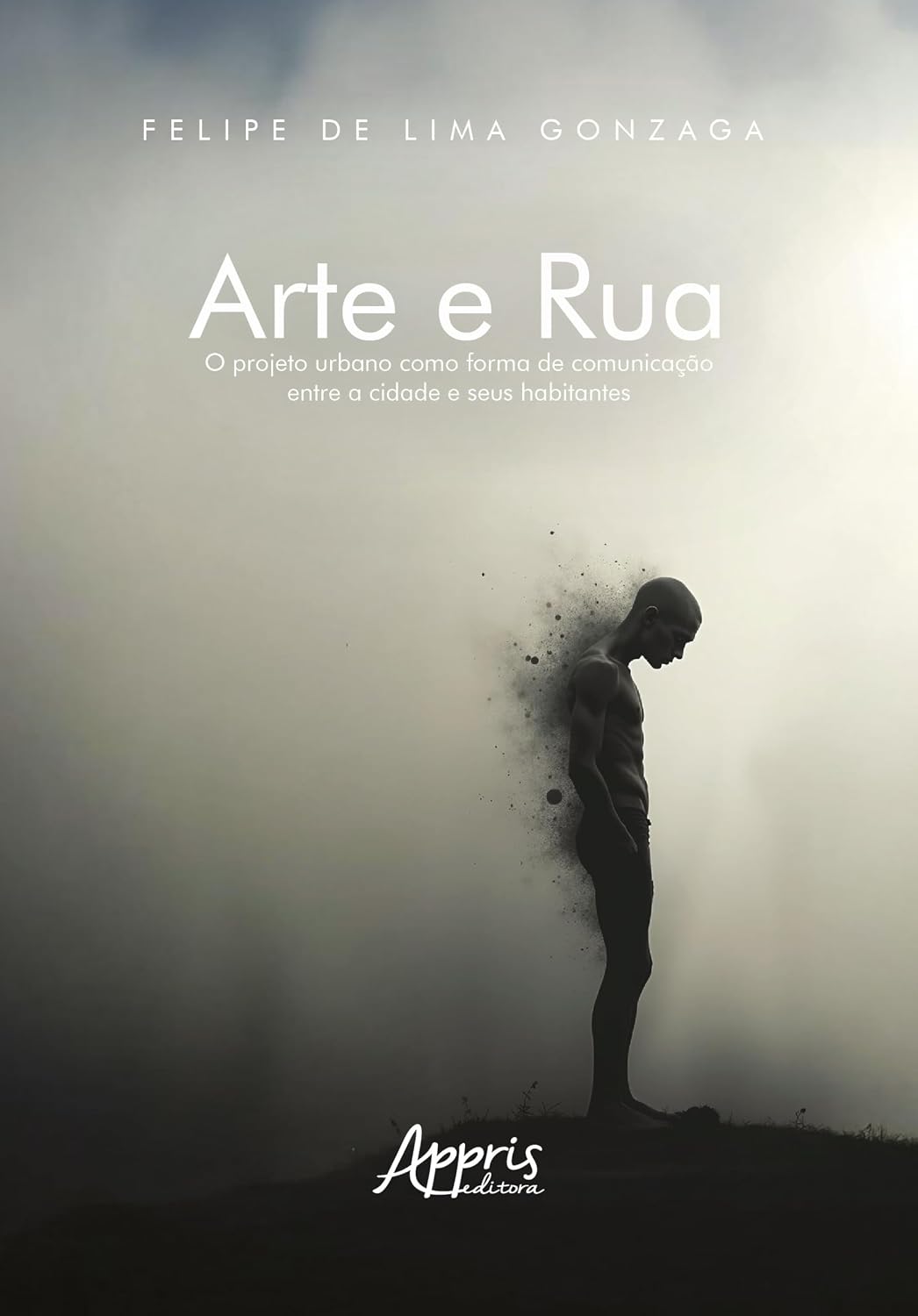 Arte e Rua: O Projeto Urbano como Forma de Comunicação entre a Cidade e Seus Habitantes baixar o livro de graça