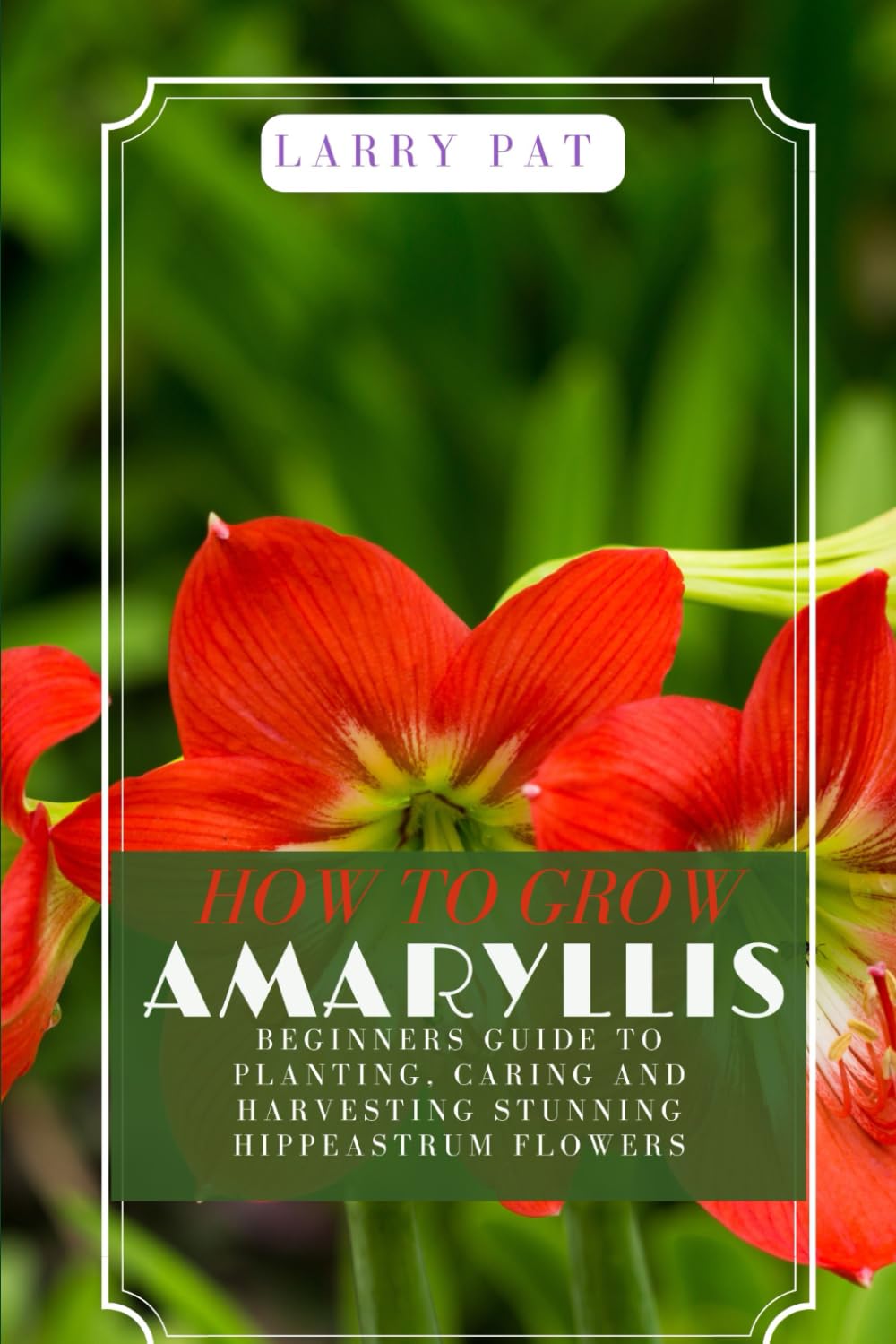 HOW TO GROW AMARYLLIS: Beginners guide to planting, caring and harvesting stunning Hippeastrum flowers baixar o livro de graça