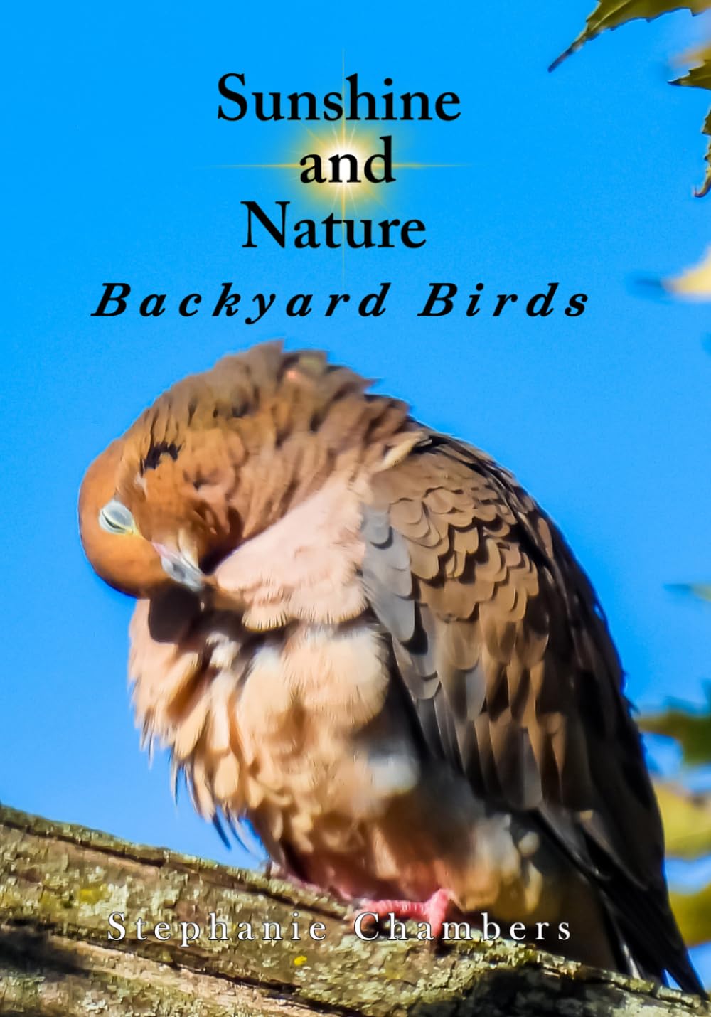 Sunshine and Nature: Backyard Birds baixar livro de graça