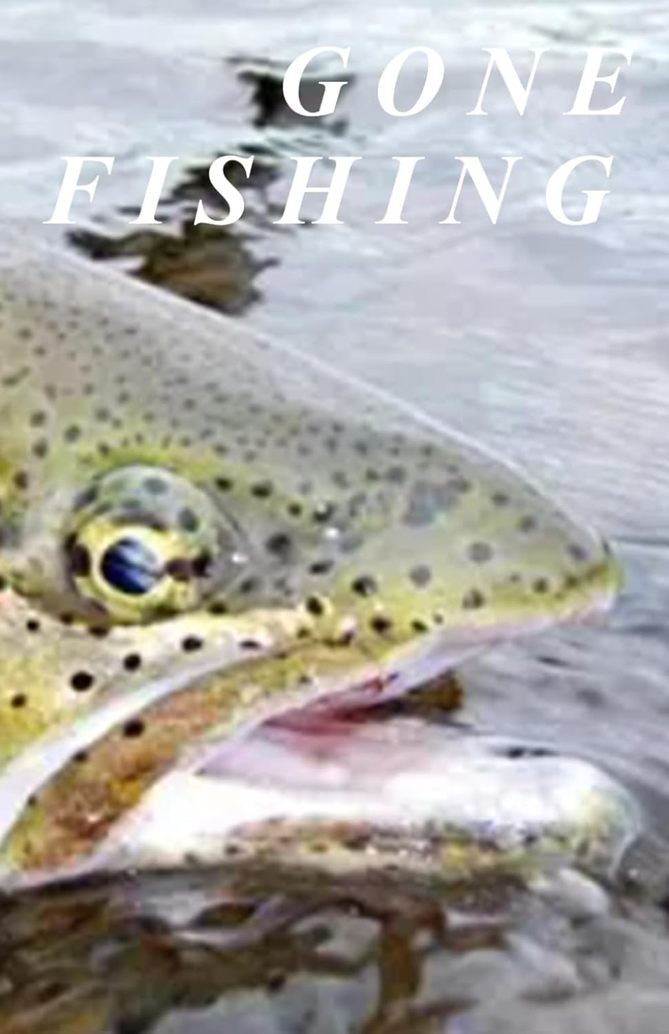 ler totalmente Gone Fishing