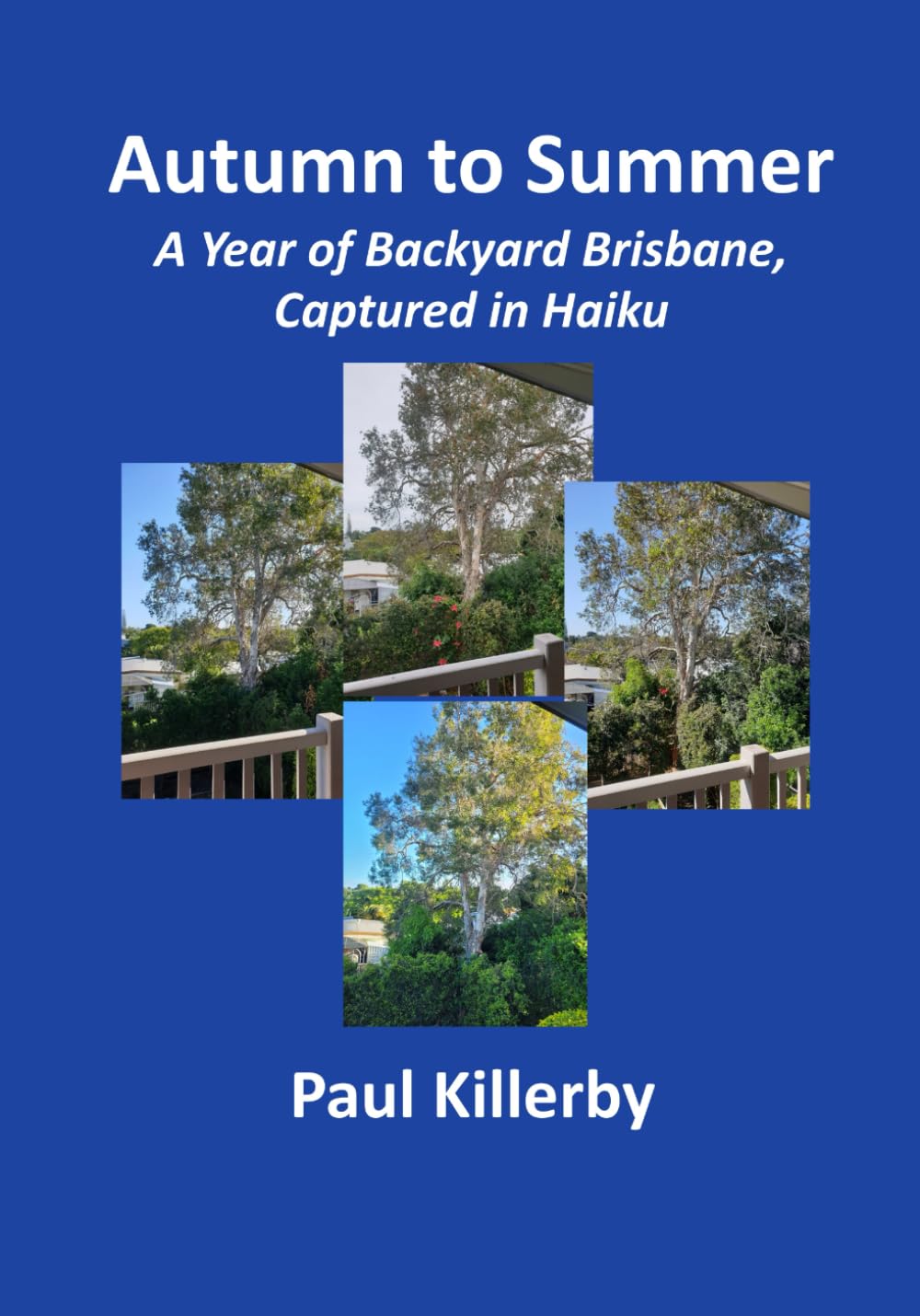 ler totalmente Autumn to Summer: A Year of Backyard Brisbane, Captured in Haiku
