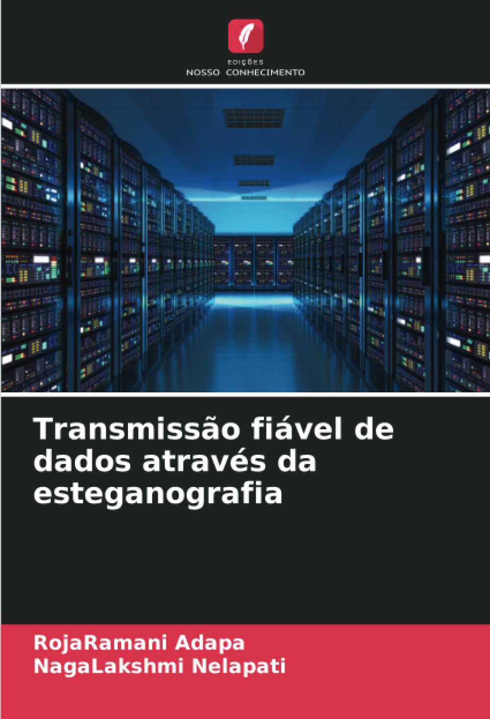 Transmissão fiável de dados através da esteganografia baixar livro de graça