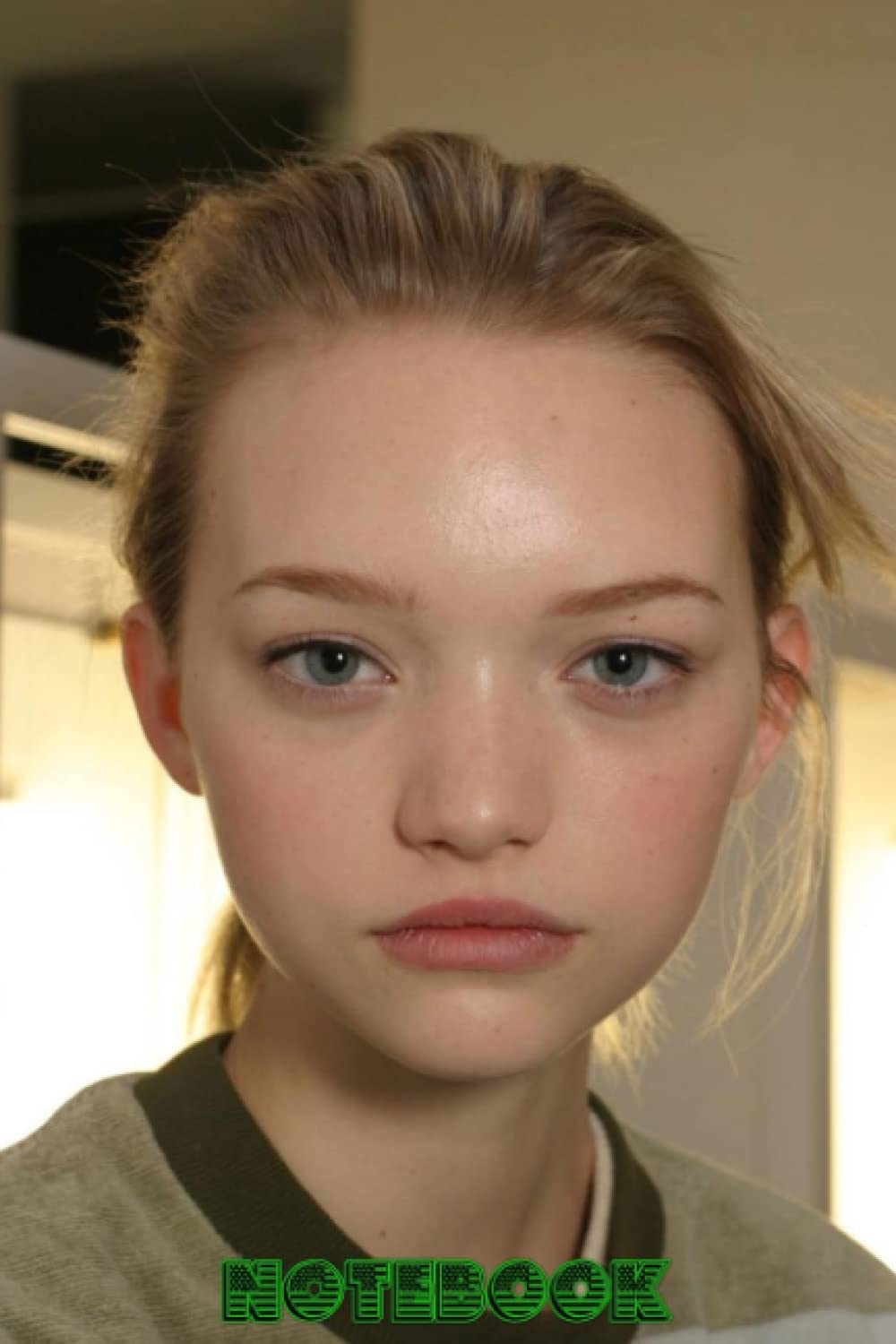 Notebook: Gemma Ward Notebook Lined 100pages - Thankgiving Notebook 6x9 Lined Page - Gift Idea for Fan #269 baixar o livro de graça