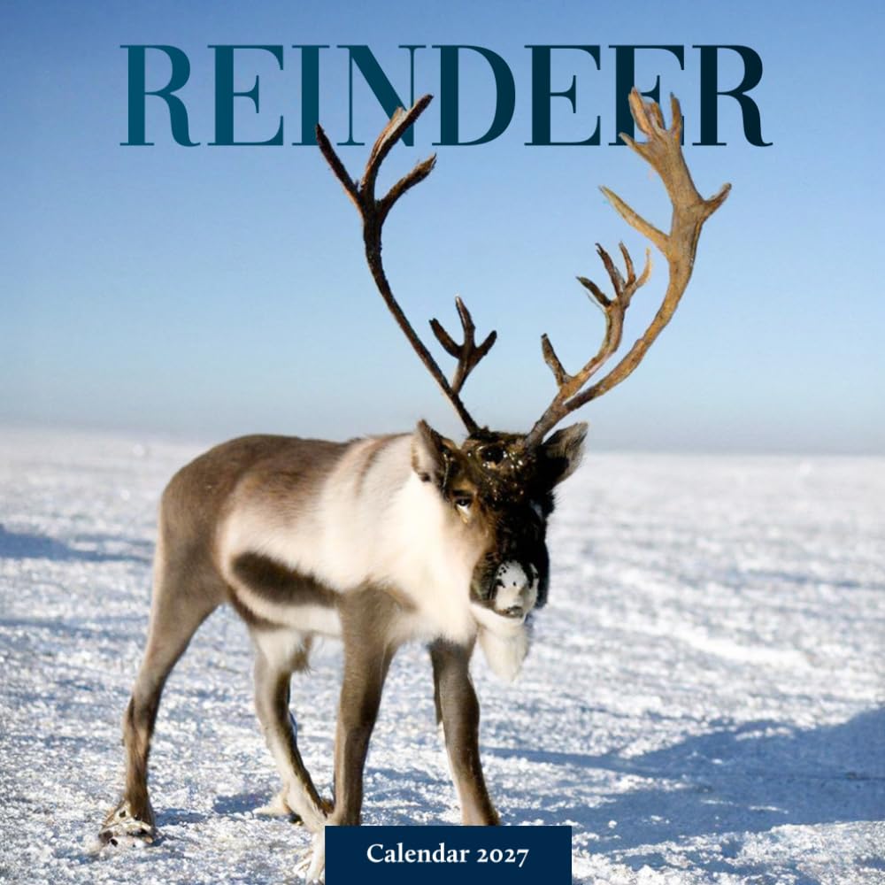 ler totalmente Caribou and Arctic Wildlife Calendar 2027: Tundra Wildlife Photography
