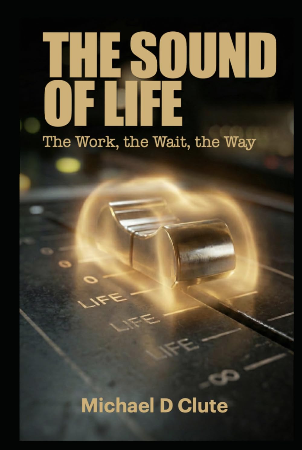 capítulo por capítulo baixar The Sound Of Life: The Work, The Wait, The Way