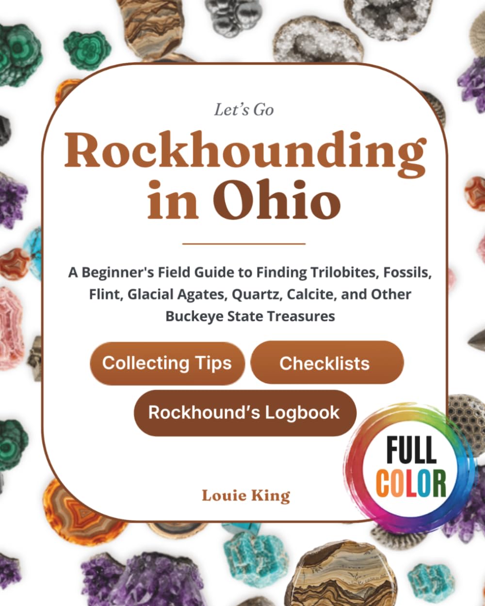 Let's Go Rockhounding in Ohio: A Beginner's Field Guide to Finding Trilobites, Fossils, Flint, Glacial Agates, Quartz, Calcite, and Other Buckeye... Tips, Checklists, and a Rockhound's Logbook baixar o livro de graça