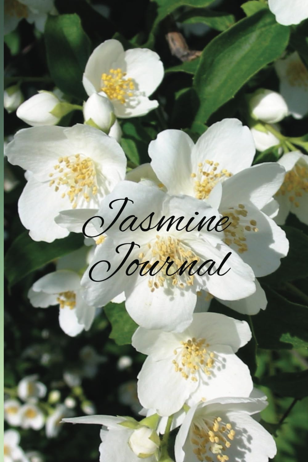 ler totalmente Jasmine Journal: Flower Of Aromatic Fragrance & Elegance