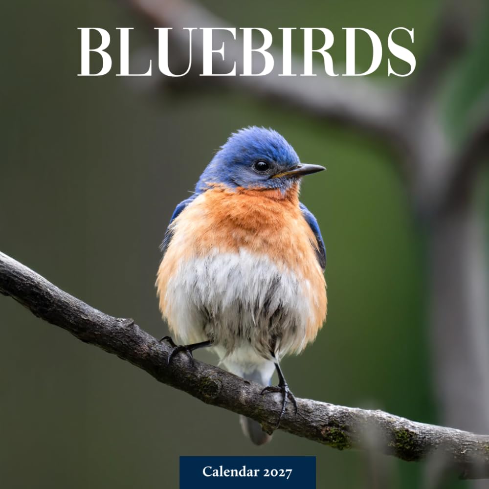 Bluebirds Calendar 2027: Colorful Songbird Photography