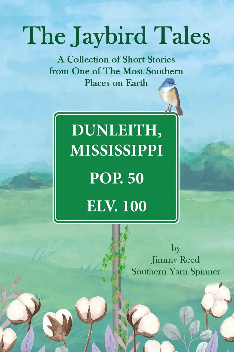 The Jaybird Tales: A Collection Of Short Stories From One Of The Most Southern Places On Earth baixar o livro de graça