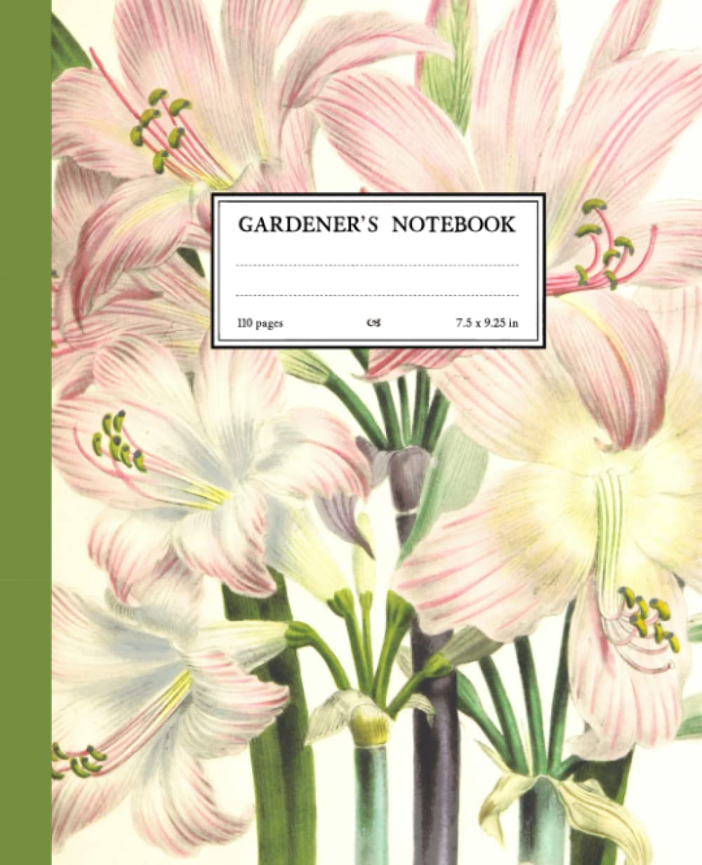 Gardener's Notebook: Lined and Grid Journal, Classic 7.5 x 9.25 size, 110 pages, softcover. Pink and cream lilies with three types of internal pages. Great gift for gardeners. baixar livro de graça
