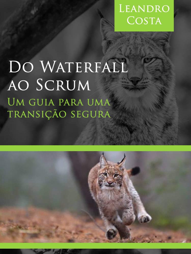 ler totalmente Do Waterfall ao Scrum: Um guia para uma transição segura