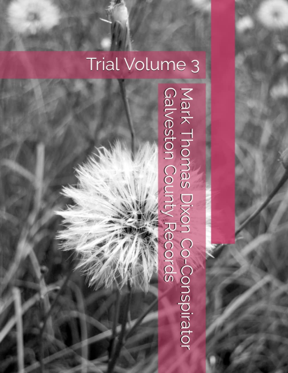 ler totalmente Mark Thomas Dixon Co-Conspirator Galveston County Records: Trial Volume 3 (Barbara Holder Trial Records)