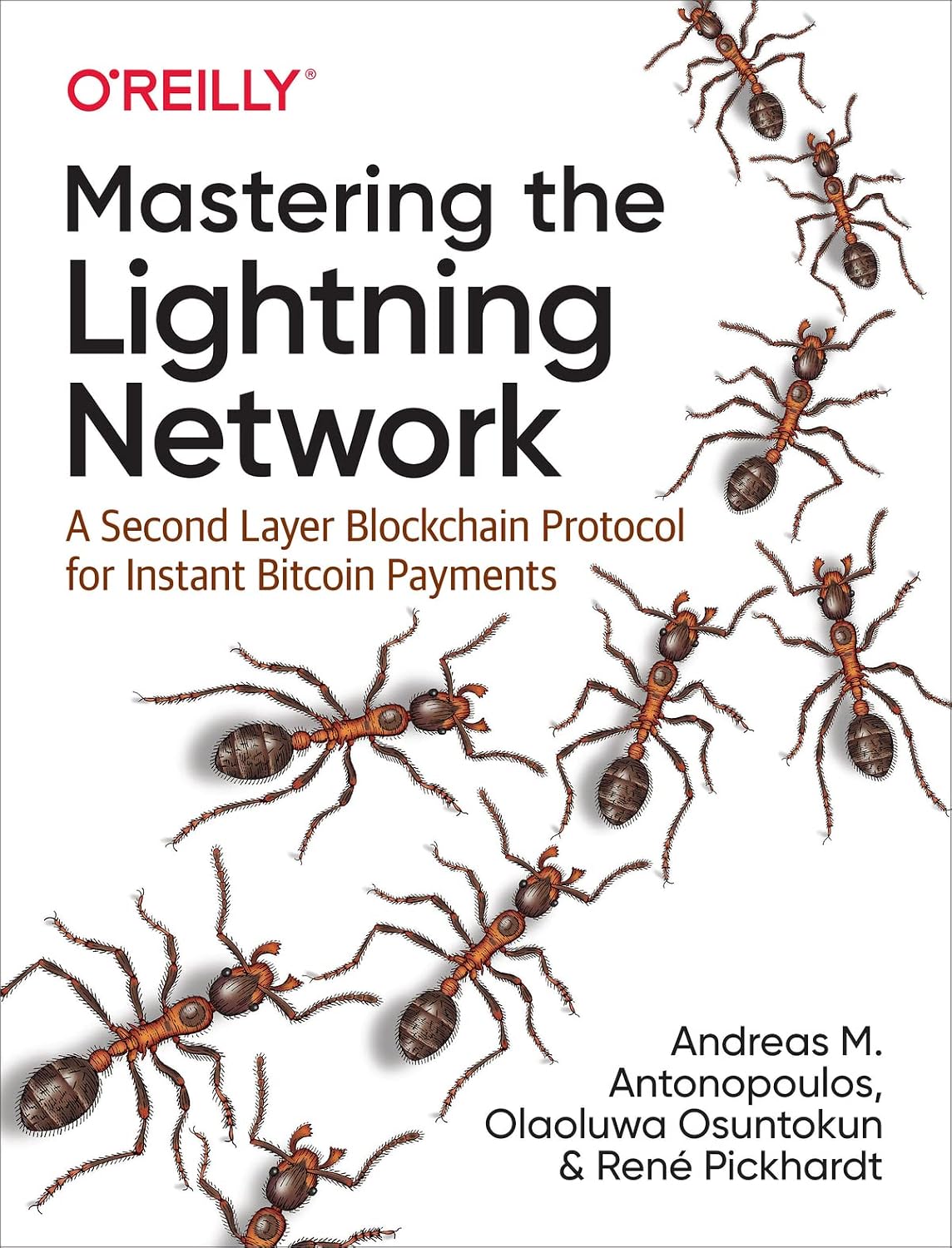 Mastering the Lightning Network: A Second Layer Blockchain Protocol for Instant Bitcoin Payments baixar livro de graça