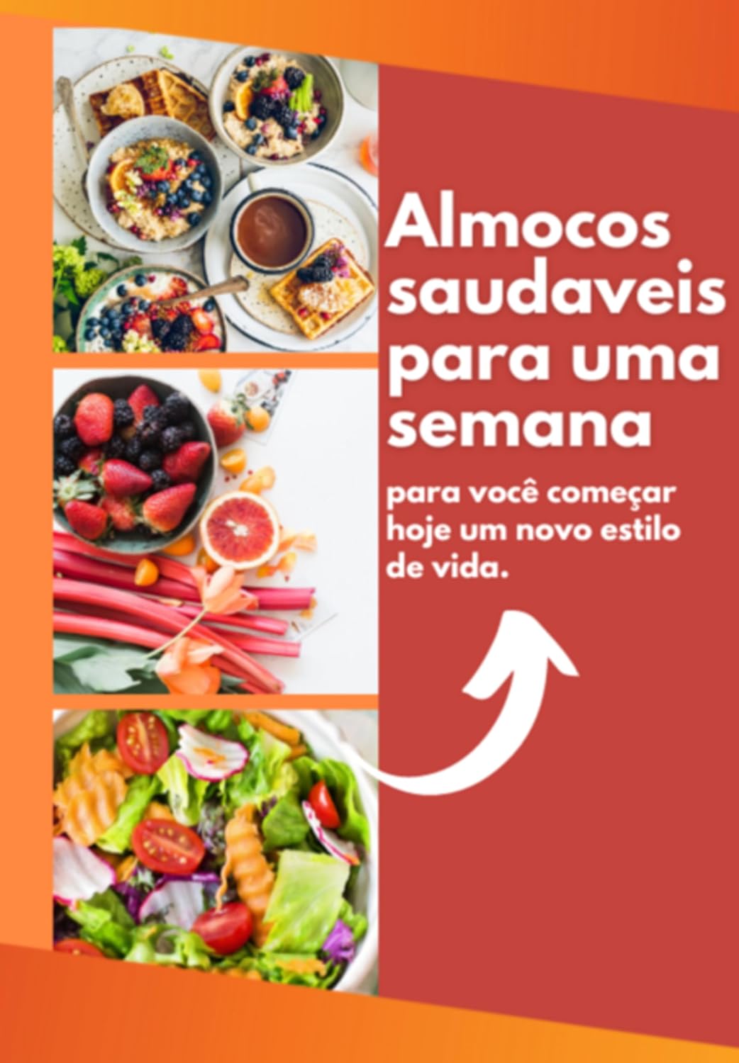 Almocos Saudaveis Para Uma Semana baixar o livro de graça