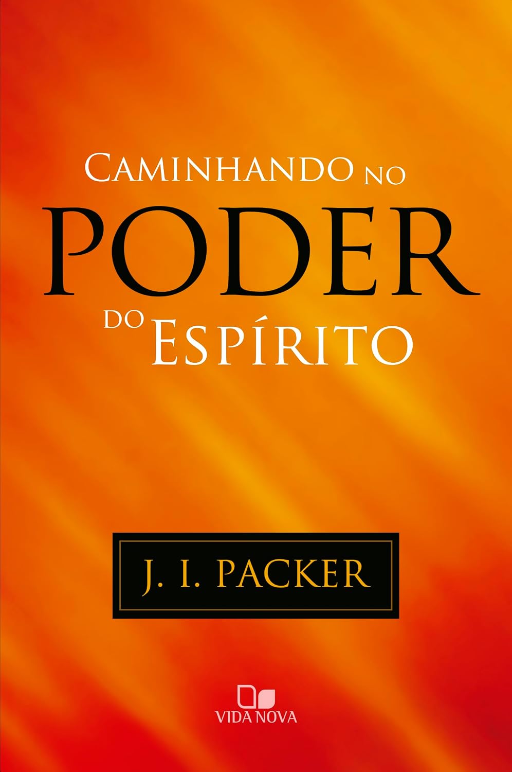Caminhando no poder do espírito