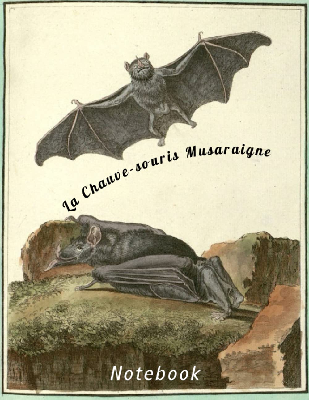 ler totalmente Gothic Bat Notebook: Composition Journal College Ruled Lines with Vintage Bat Illustration for Adults, Witches, Goths, High School and University Bat Enthusiasts