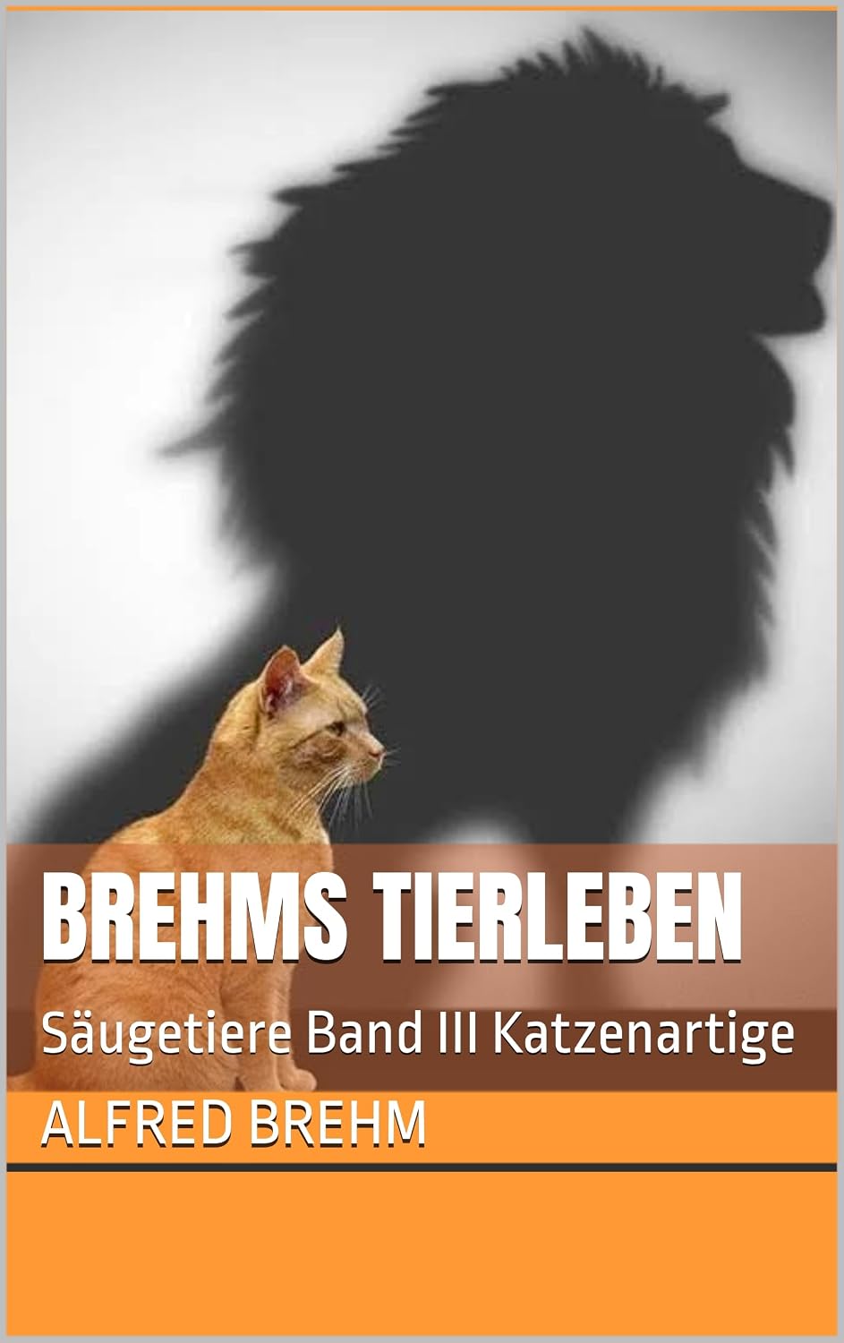 BREHMS TIERLEBEN: Säugetiere Band III (German Edition) baixar o livro de graça