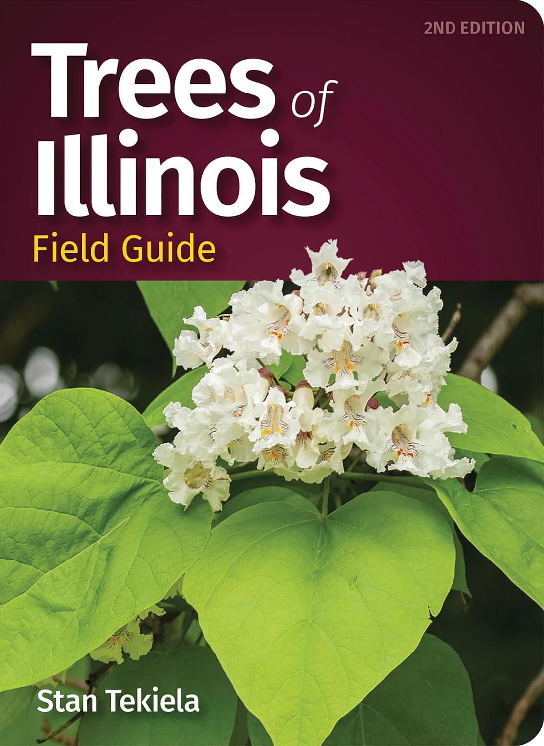 Trees of Illinois Field Guide (Tree Identification Guides) (English Edition) baixar o livro de graça