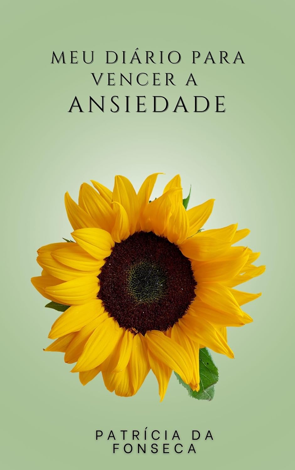 capítulo por capítulo baixar MEU DIÁRIO PARA VENCER A ANSIEDADE