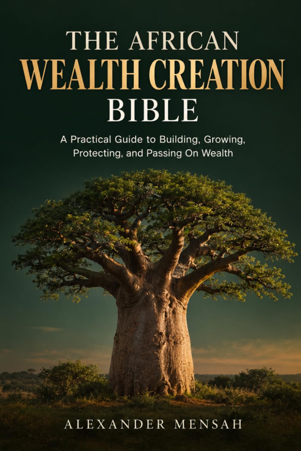 ler totalmente The African Wealth Creation Bible: A Practical Guide to Building, Growing, Protecting, and Passing On Wealth
