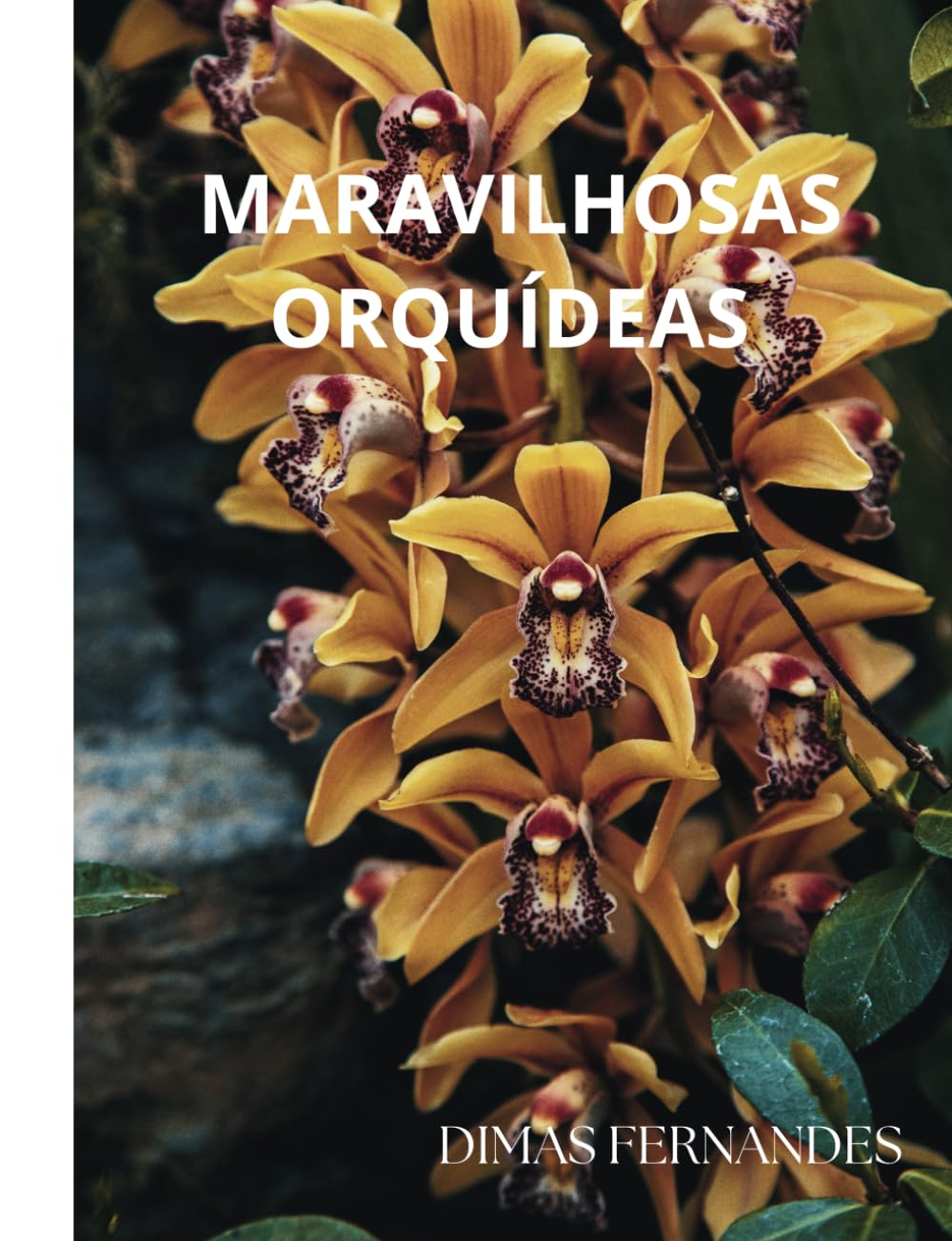MARAVILHOSAS ORQUÍDEAS (Portuguese Edition) baixar livro de graça