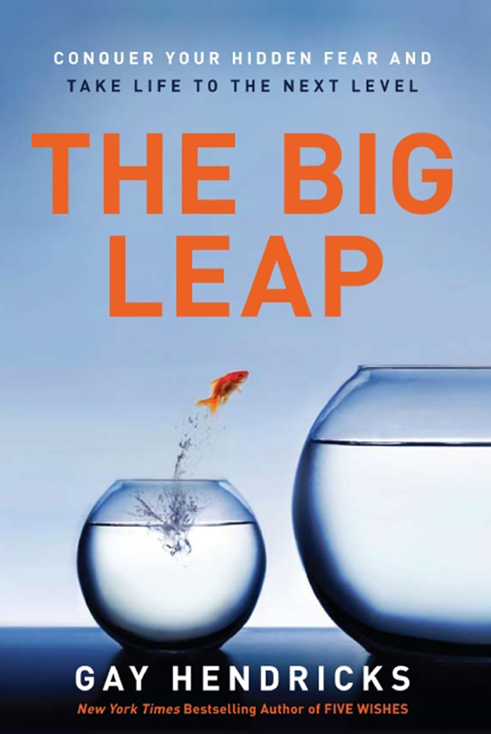 The Big Leap: Conquer Your Hidden Fear and Take Life to the Next Level—A Transformative Guide to Overcoming Fears and False Beliefs for Personal Growth and Success (English Edition) baixar livro de graça