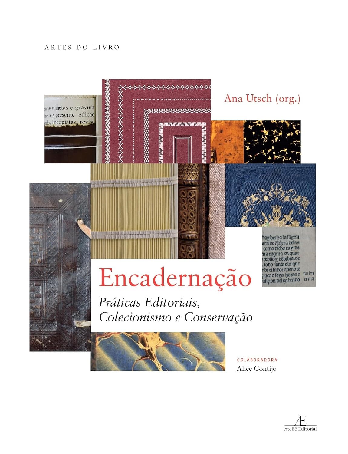 Encadernação: Práticas Editoriais, Colecionismo e Conservação: 16 baixar o livro de graça