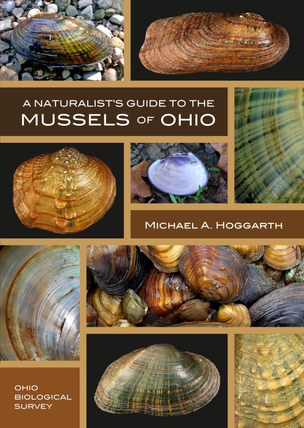 capítulo por capítulo baixar A Naturalist’s Guide to the Mussels of Ohio