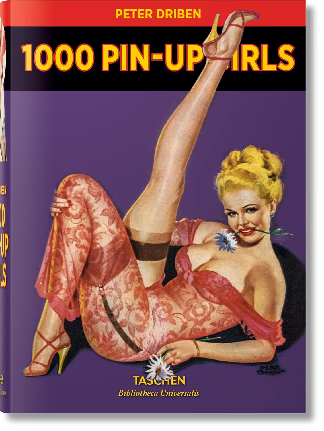 1000 pin-up girls baixar livro de graça