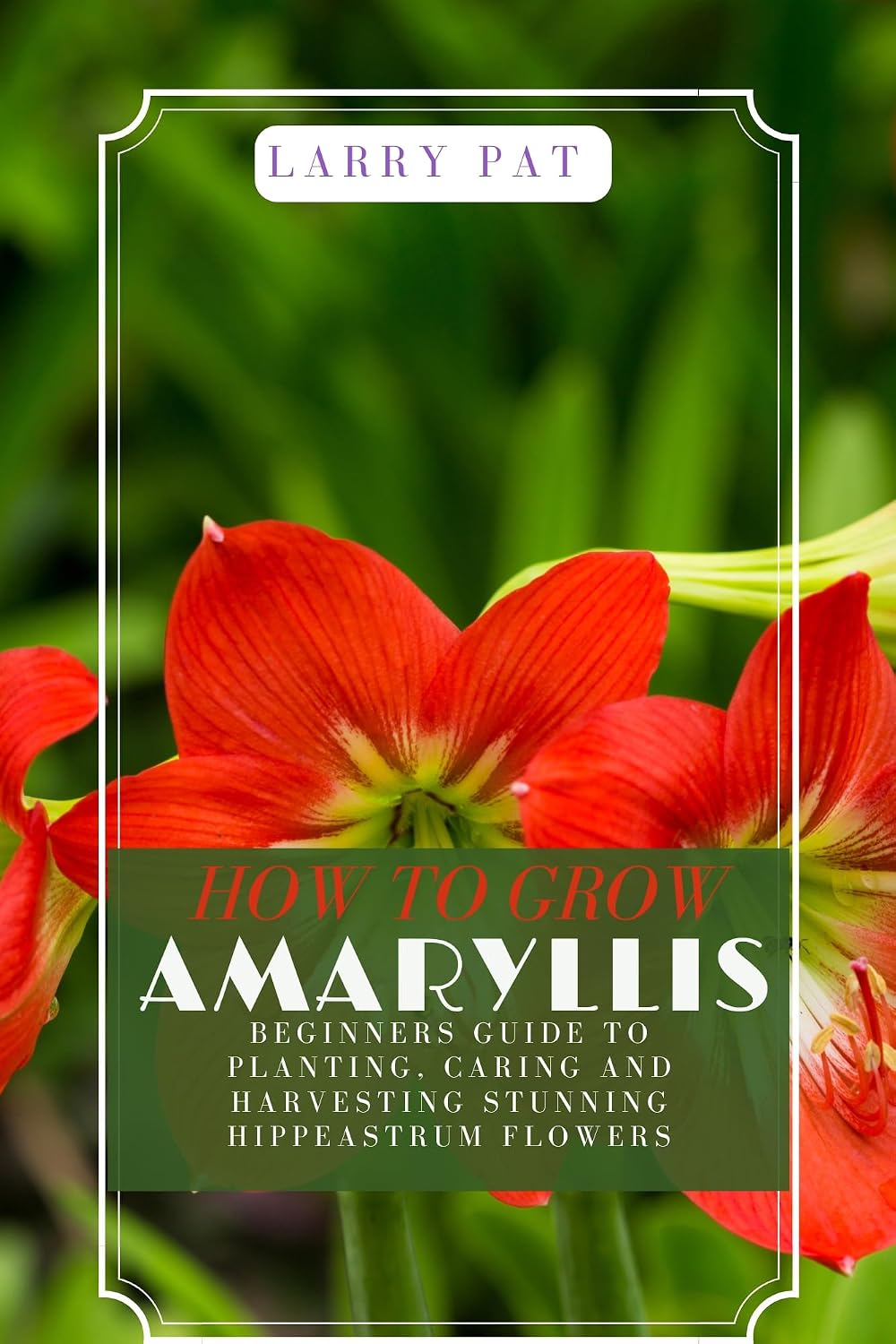 HOW TO GROW AMARYLLIS: Beginners guide to planting, caring and harvesting stunning Hippeastrum flowers (English Edition) baixar o livro de graça