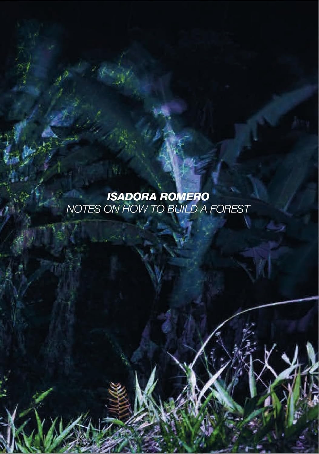 capítulo por capítulo baixar After Nature Ulrike Crespo Photography Prize 2025: Isadora Romero