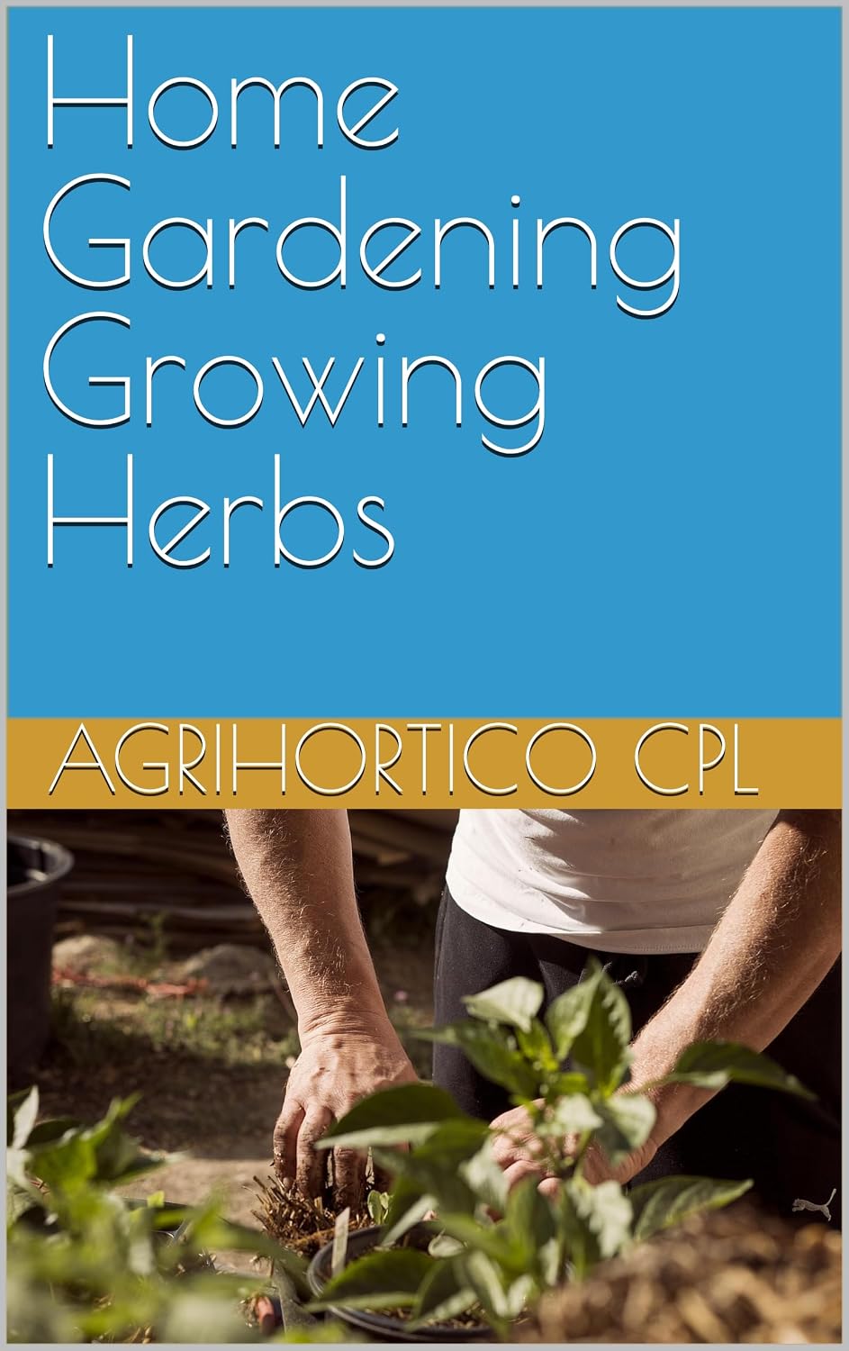 Home Gardening Growing Herbs (Presentations on Home Gardening Book 8) (English Edition) baixar o livro de graça