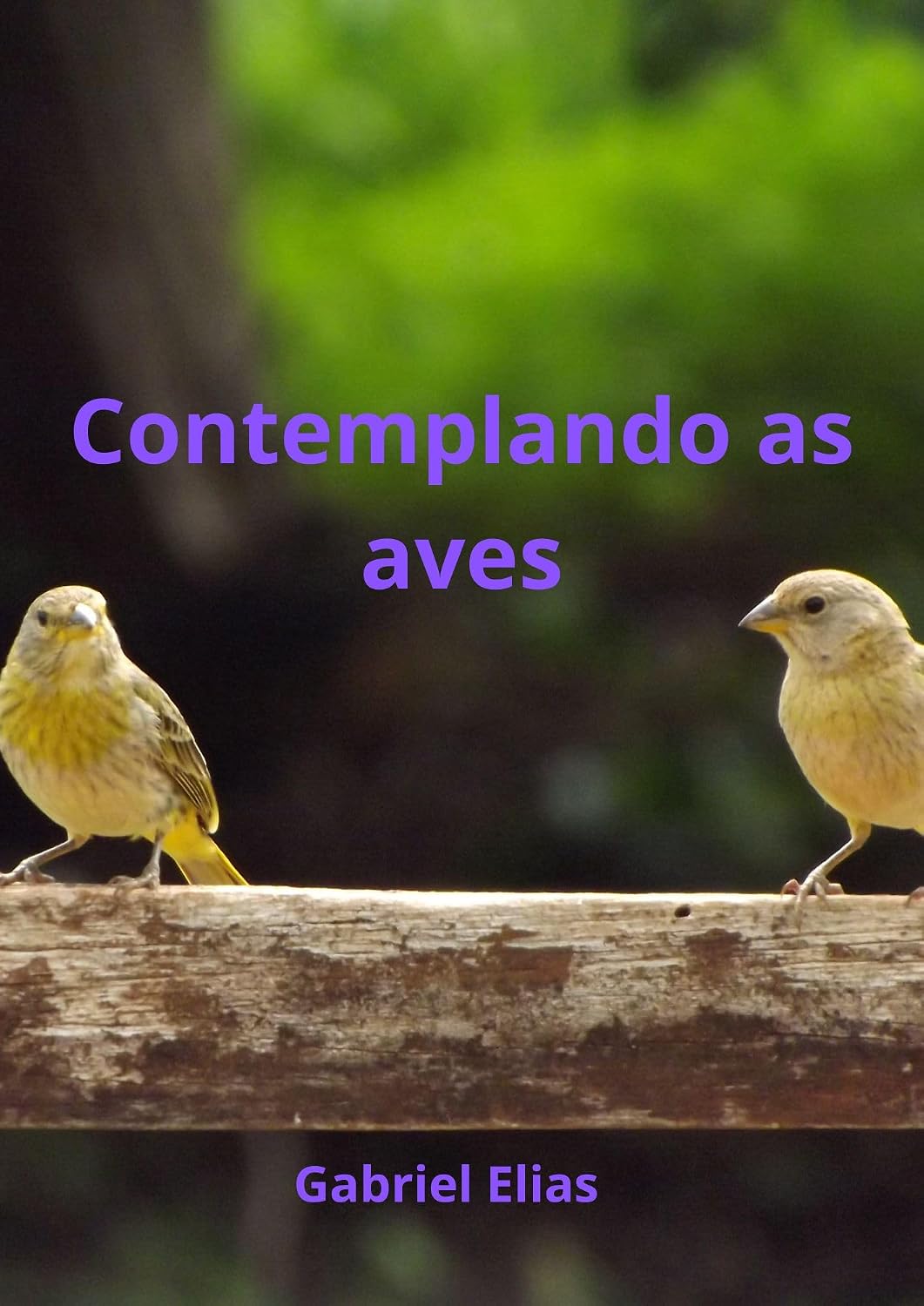 Contemplando os aves baixar livro de graça