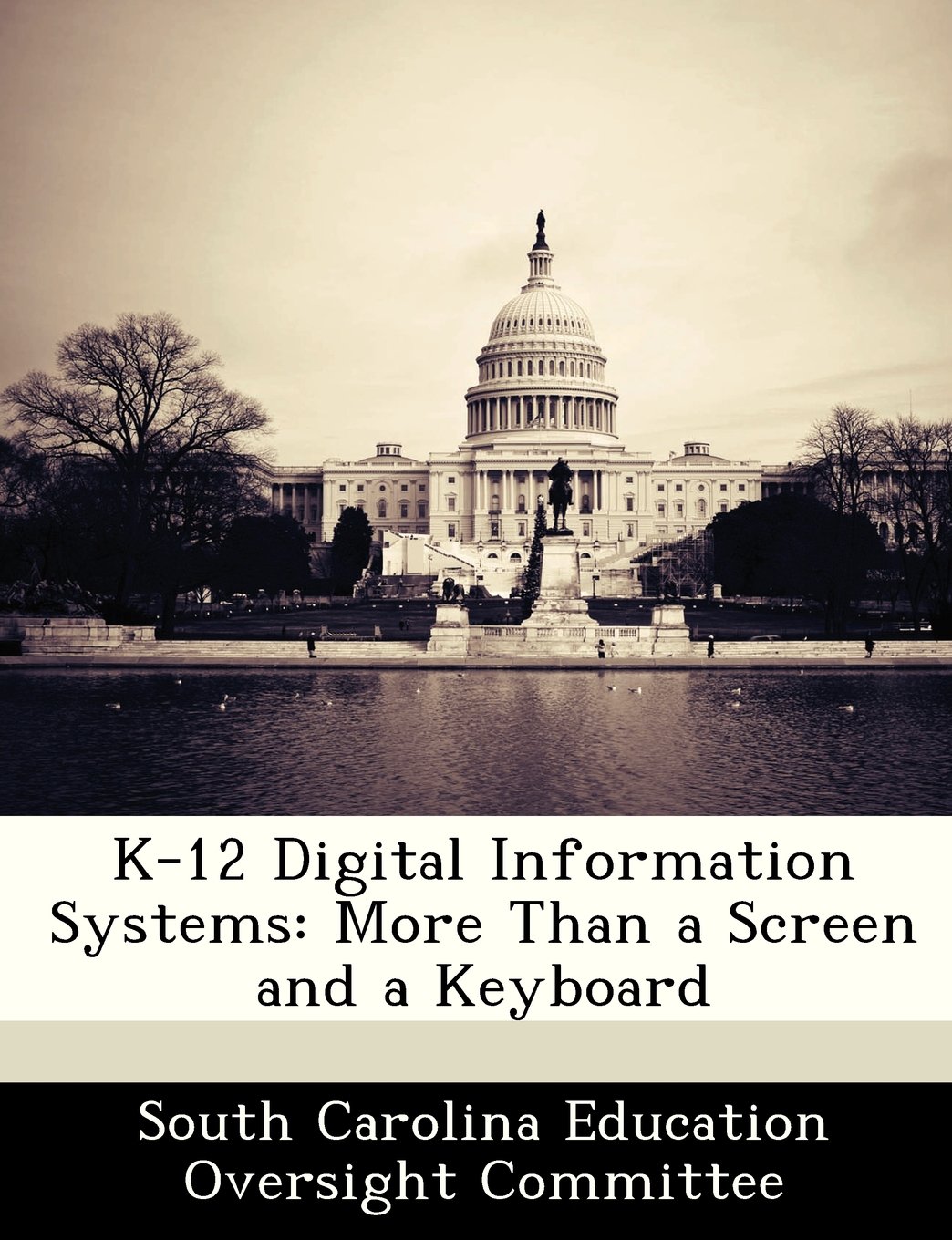 K-12 Digital Information Systems: More Than a Screen and a Keyboard baixar o livro de graça