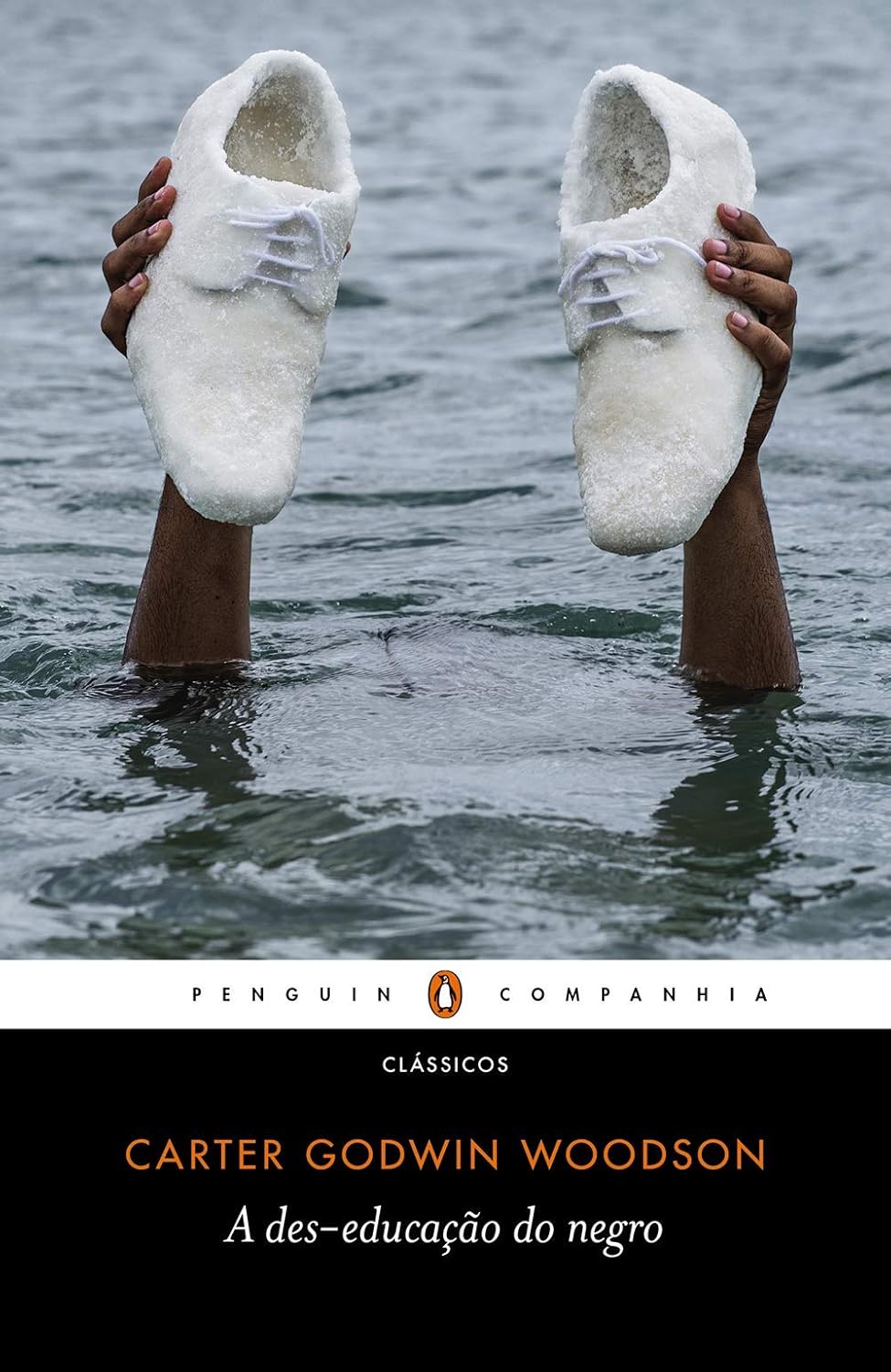 A des-educação do negro baixar livro de graça