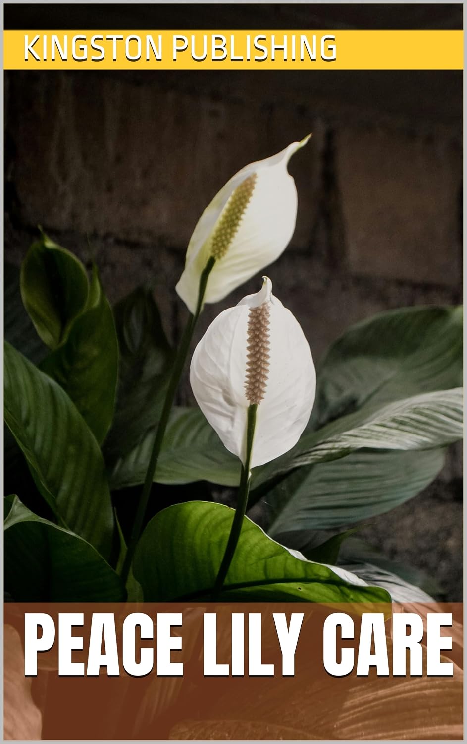 Peace Lily Care (Flowers) (English Edition) baixar o livro de graça