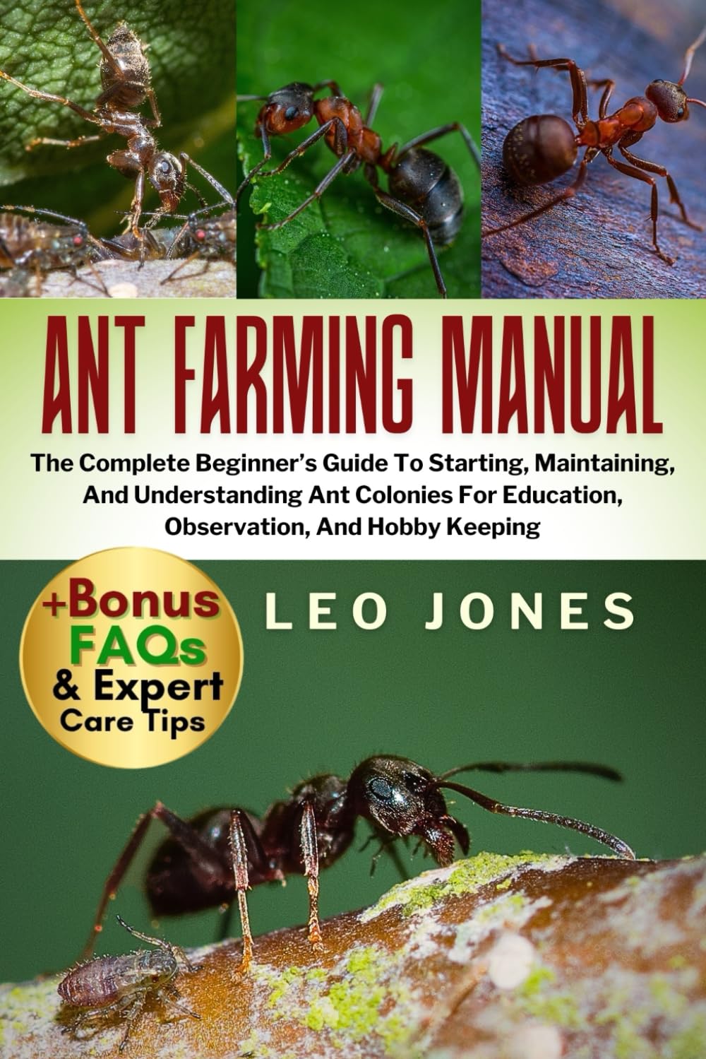 ANT FARMING MANUAL: The Complete Beginner’s Guide To Starting, Maintaining, And Understanding Ant Colonies For Education, Observation, And Hobby Keeping baixar o livro de graça
