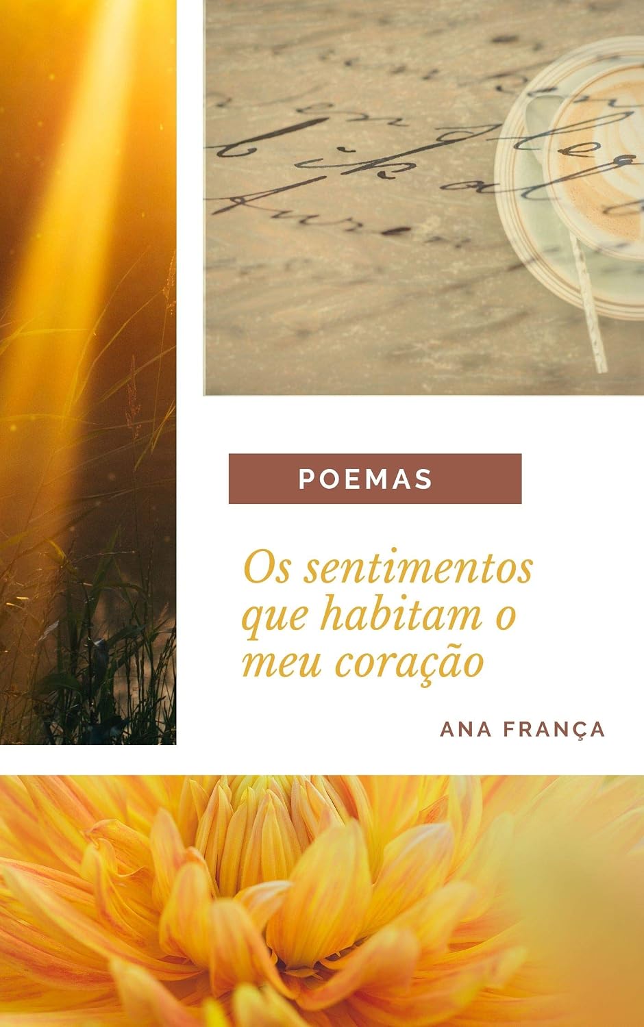 ler totalmente Os sentimentos que habitam o meu coração: POEMAS
