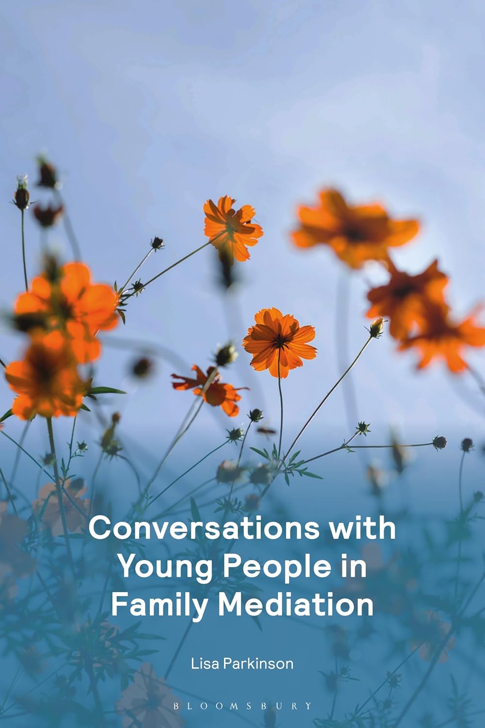 capítulo por capítulo baixar Conversations with Young People in Family Mediation (English Edition)