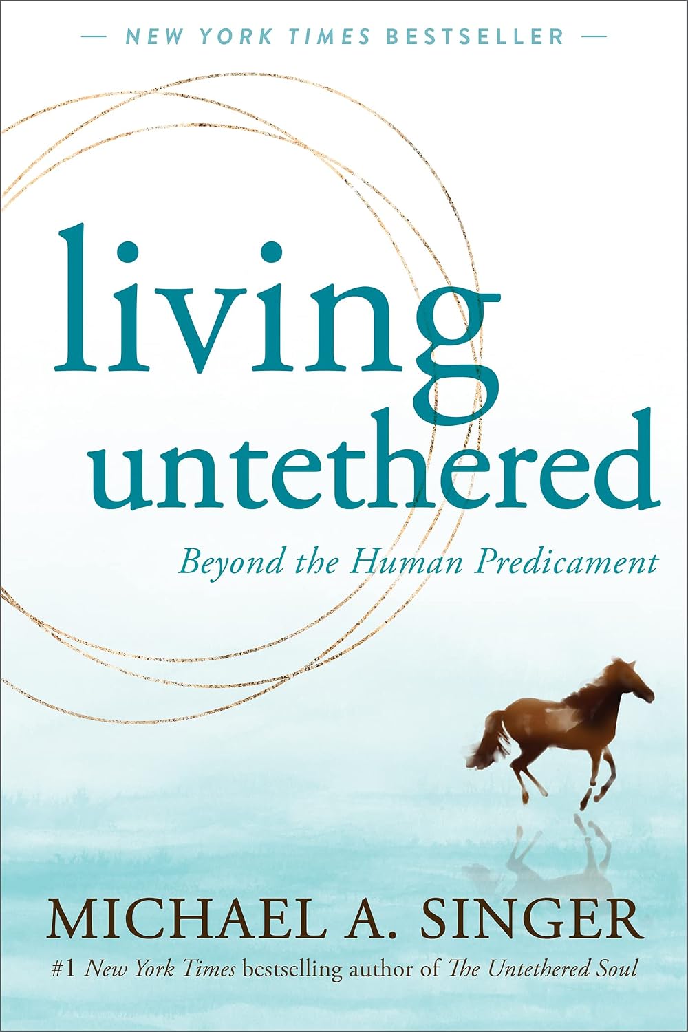 capítulo por capítulo baixar Living Untethered: Beyond the Human Predicament (English Edition)