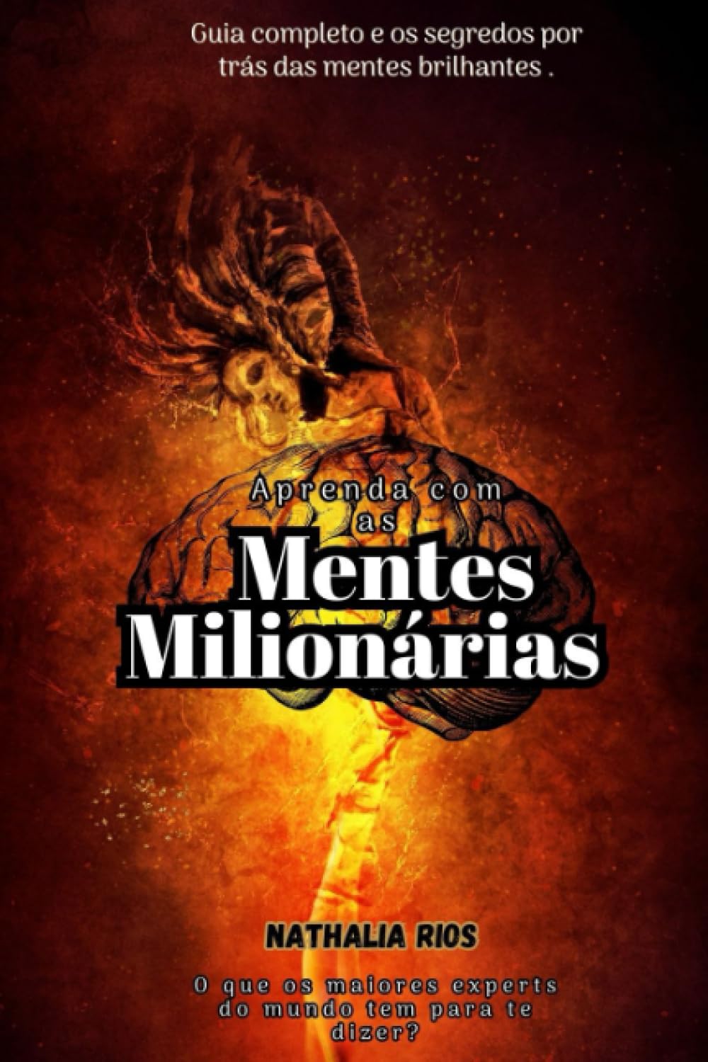 Aprenda com as Mentes Milionárias baixar o livro de graça