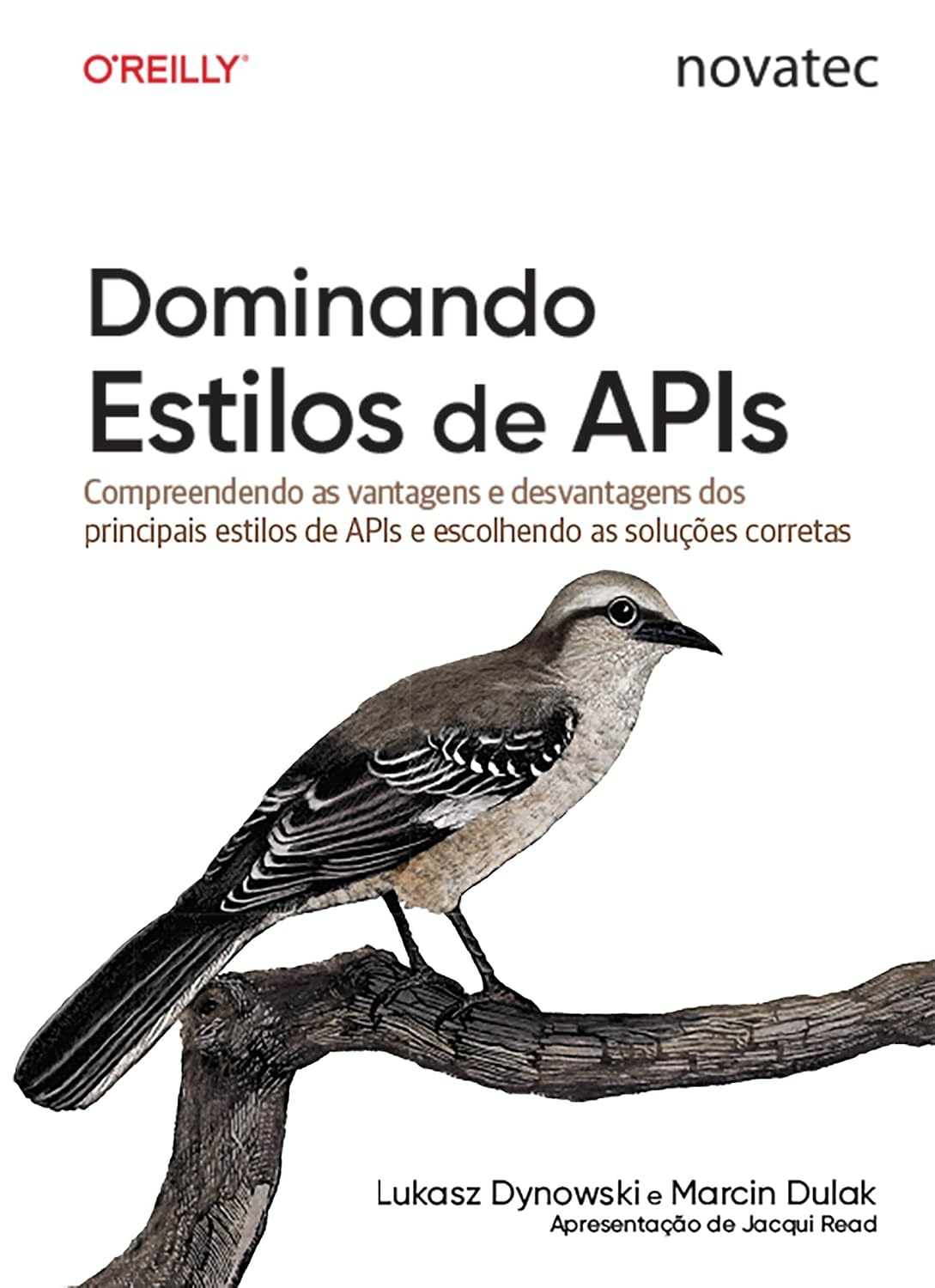 ler totalmente Dominando Estilos de APIs: Compreendendo as vantagens e desvantagens dos principais estilos de APIs e escolhendo as soluções corretas