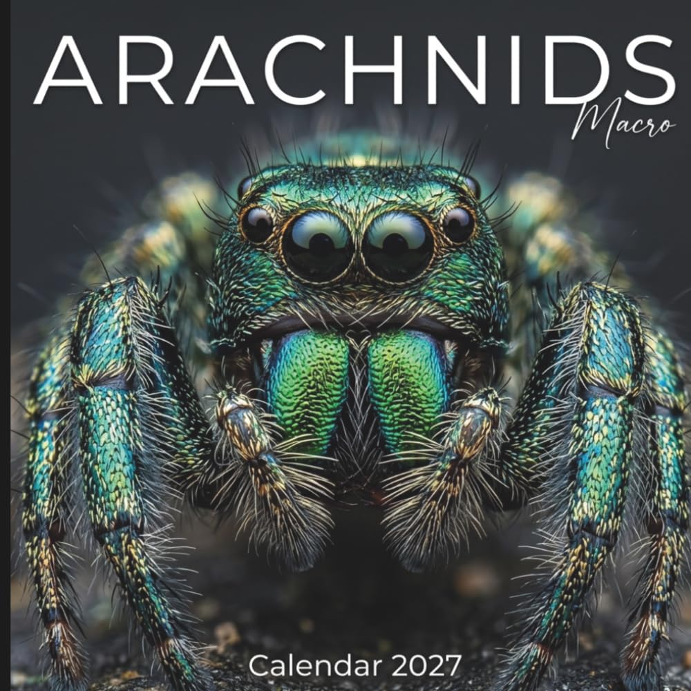 Arachnids Calendar 2027: Intimate Macro Wonders